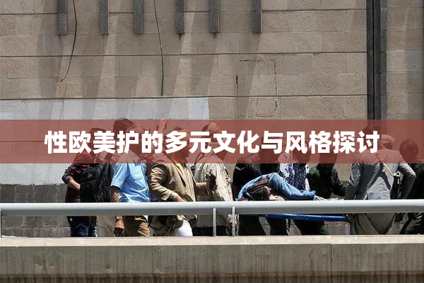 性欧美护的多元文化与风格探讨