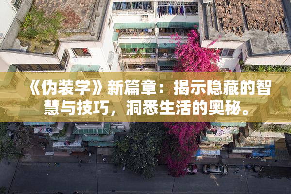 《伪装学》新篇章：揭示隐藏的智慧与技巧，洞悉生活的奥秘。