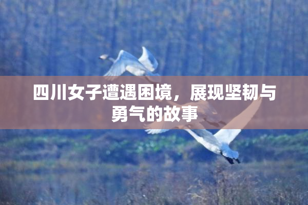 四川女子遭遇困境，展现坚韧与勇气的故事