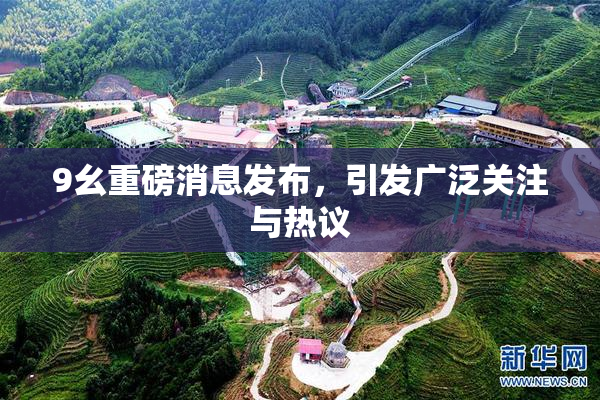 9幺重磅消息发布，引发广泛关注与热议