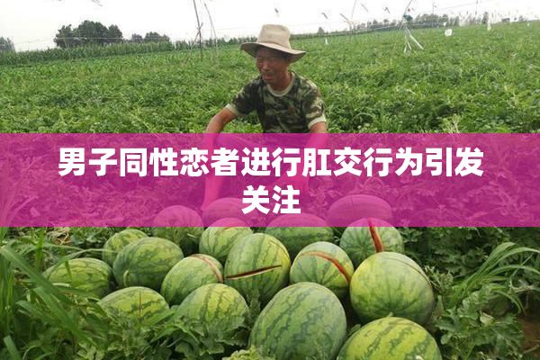 男子同性恋者进行肛交行为引发关注