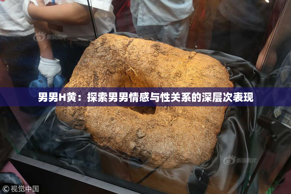 男男H黄：探索男男情感与性关系的深层次表现