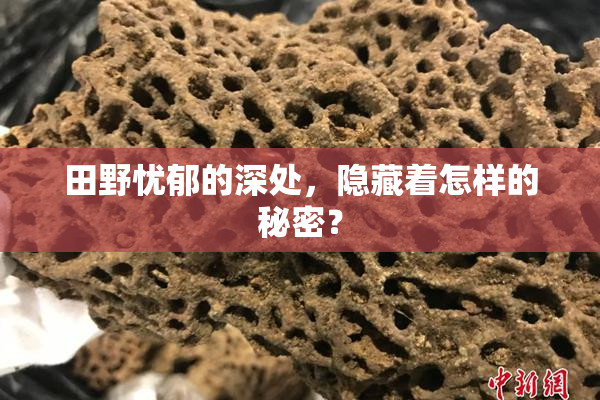 田野忧郁的深处，隐藏着怎样的秘密？