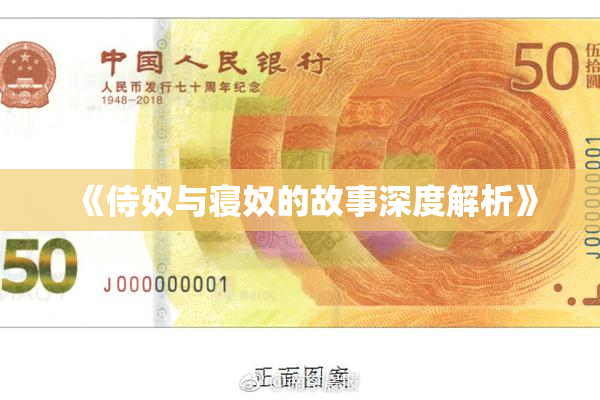 《侍奴与寝奴的故事深度解析》