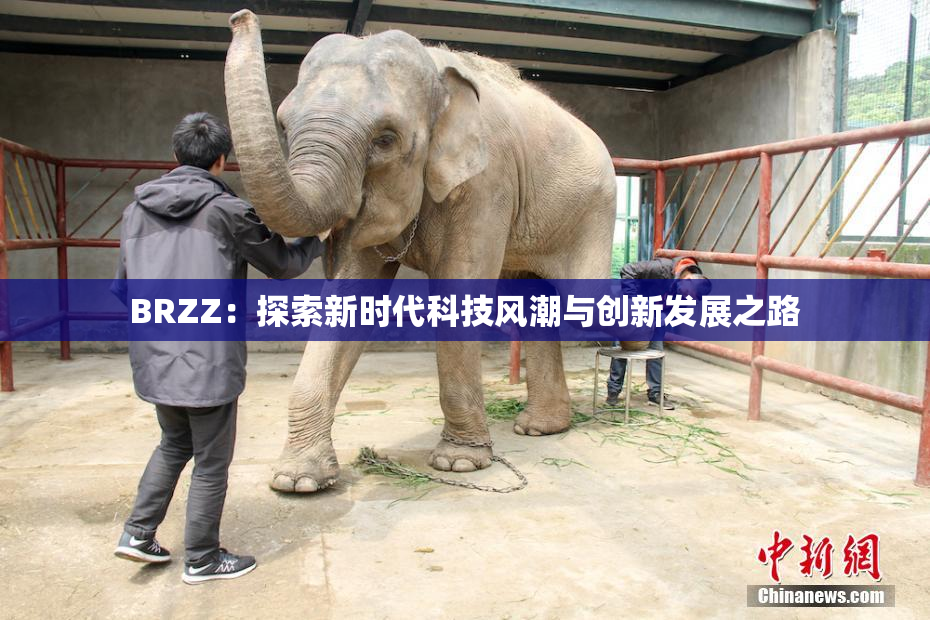 BRZZ：探索新时代科技风潮与创新发展之路