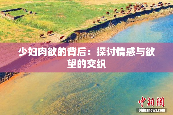 少妇肉欲的背后：探讨情感与欲望的交织