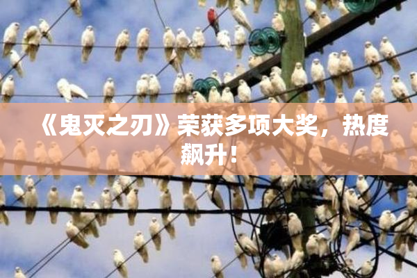《鬼灭之刃》荣获多项大奖，热度飙升！