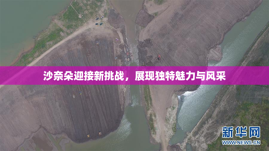 沙奈朵迎接新挑战，展现独特魅力与风采