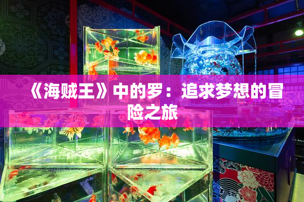 《海贼王》中的罗：追求梦想的冒险之旅