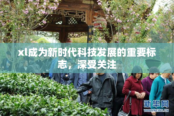 xl成为新时代科技发展的重要标志，深受关注