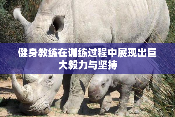 健身教练在训练过程中展现出巨大毅力与坚持