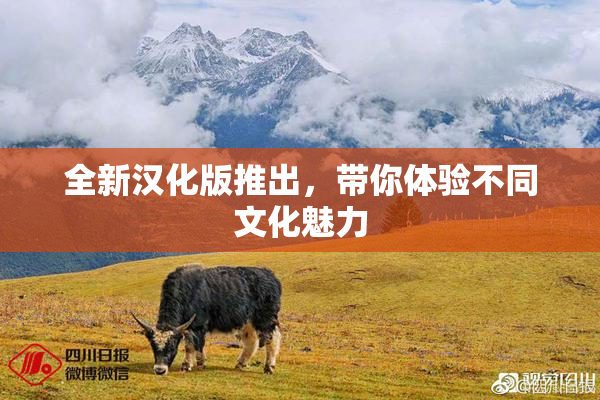 全新汉化版推出，带你体验不同文化魅力