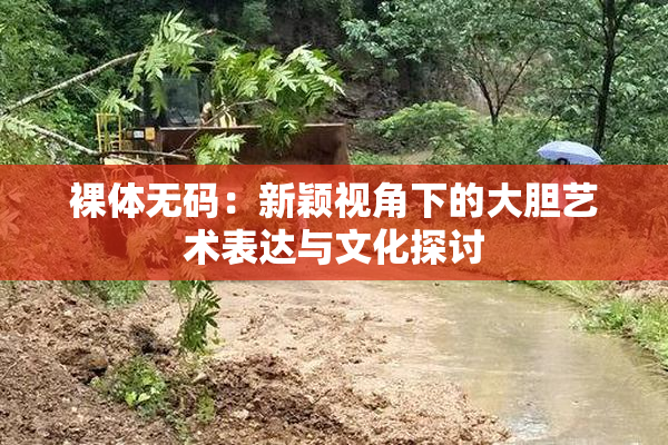 裸体无码：新颖视角下的大胆艺术表达与文化探讨