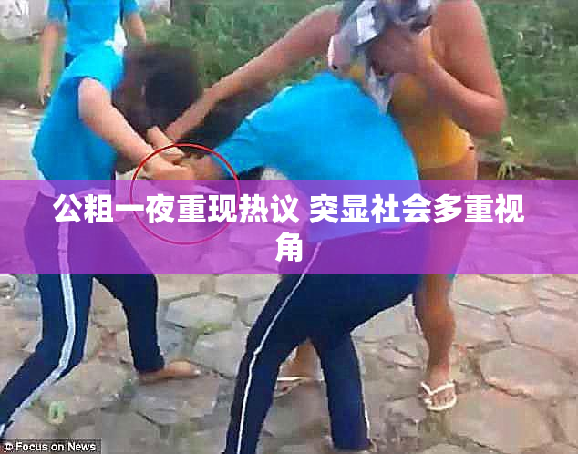 公粗一夜重现热议 突显社会多重视角