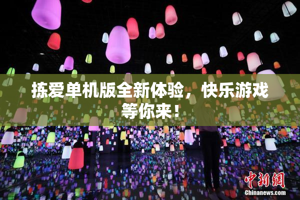 拣爱单机版全新体验，快乐游戏等你来！