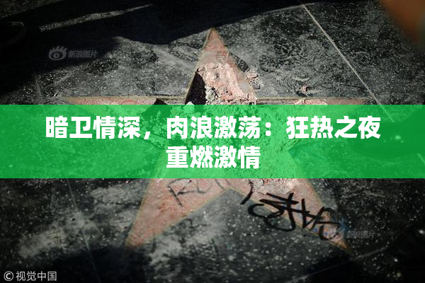 暗卫情深，肉浪激荡：狂热之夜重燃激情