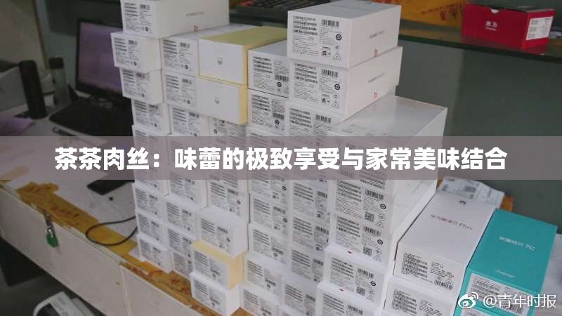 茶茶肉丝：味蕾的极致享受与家常美味结合