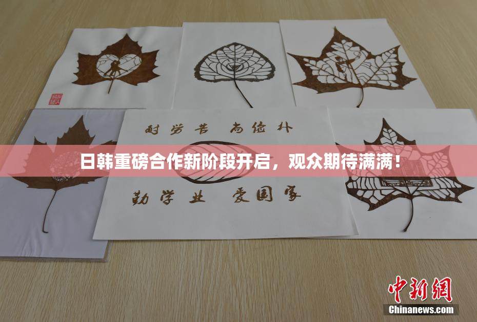 日韩重磅合作新阶段开启，观众期待满满！