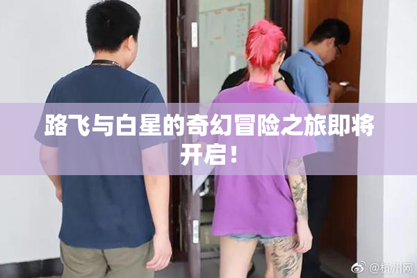 路飞与白星的奇幻冒险之旅即将开启！