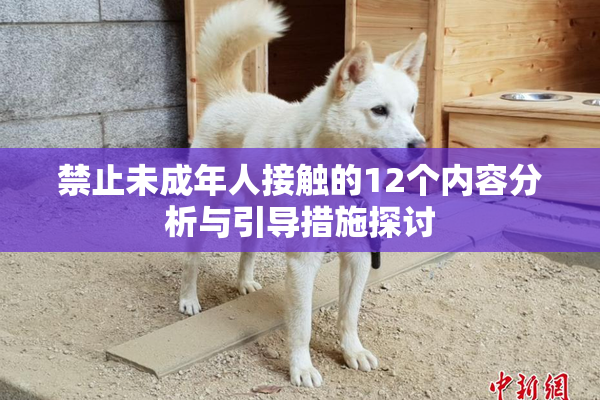 禁止未成年人接触的12个内容分析与引导措施探讨