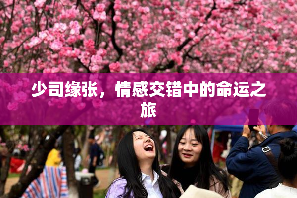 少司缘张，情感交错中的命运之旅