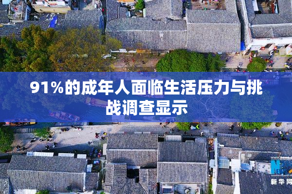 91%的成年人面临生活压力与挑战调查显示