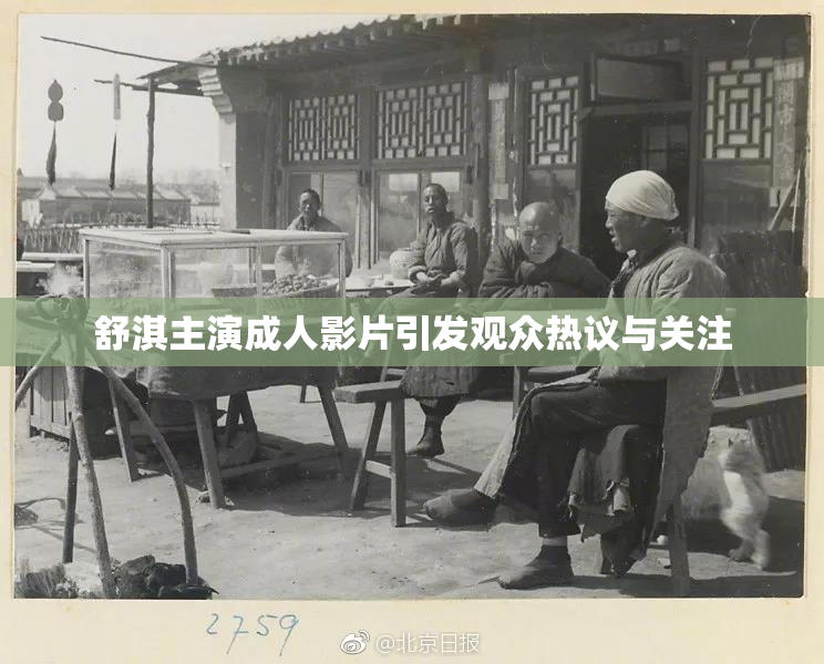 舒淇主演成人影片引发观众热议与关注