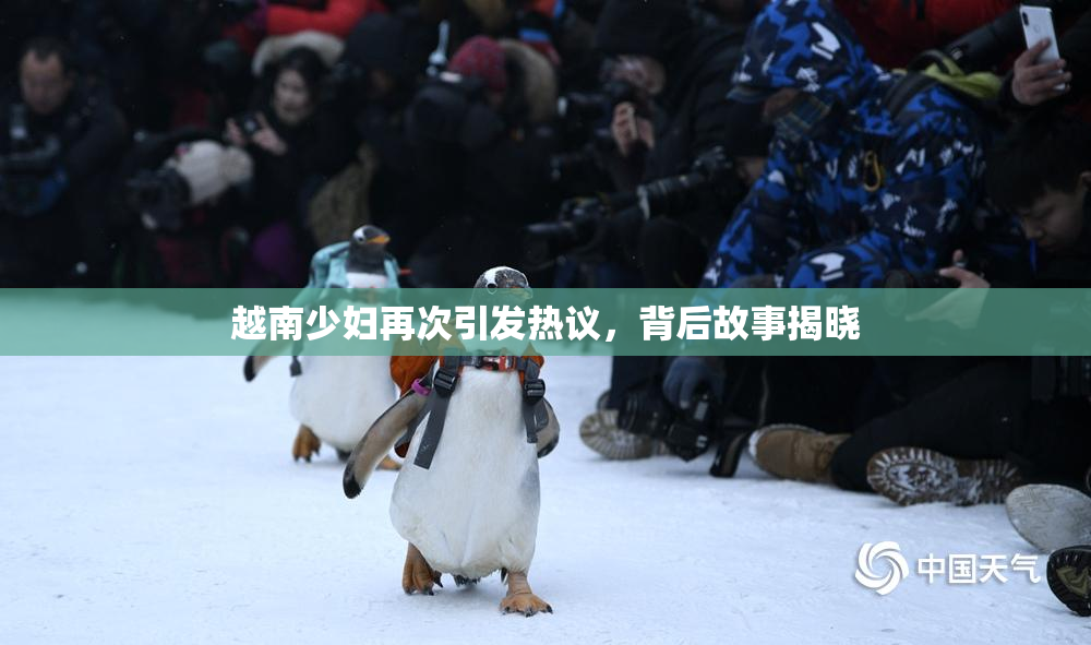 越南少妇再次引发热议，背后故事揭晓