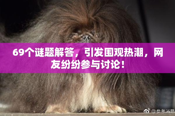 69个谜题解答，引发围观热潮，网友纷纷参与讨论！