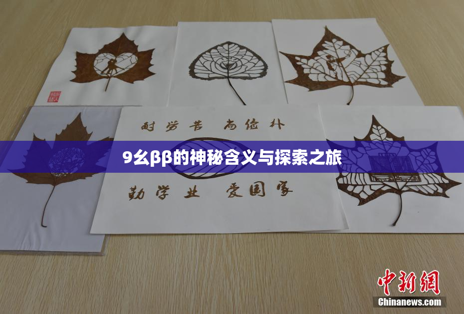 9幺ββ的神秘含义与探索之旅