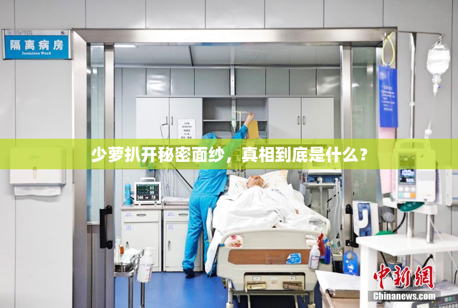 少萝扒开秘密面纱，真相到底是什么？