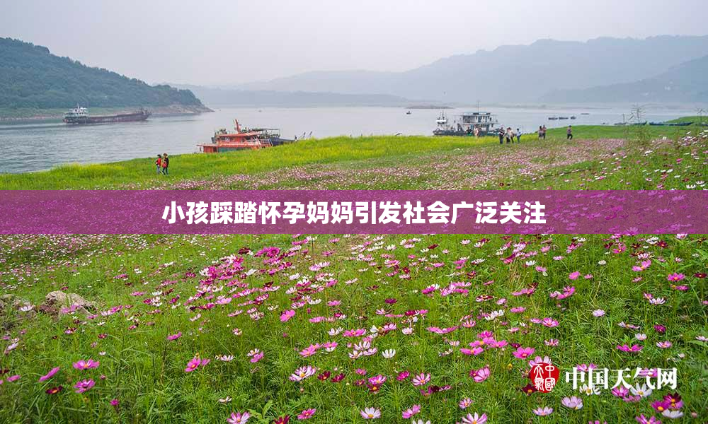 小孩踩踏怀孕妈妈引发社会广泛关注