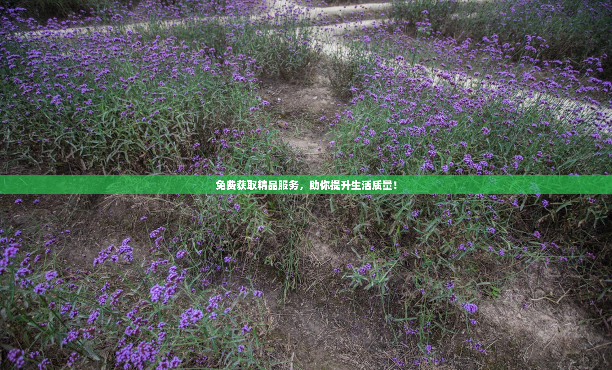 免费获取精品服务，助你提升生活质量！