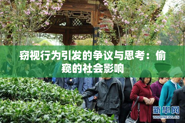 窃视行为引发的争议与思考：偷窥的社会影响