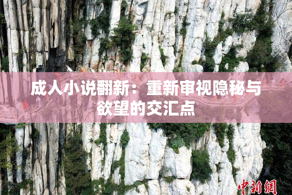 成人小说翻新：重新审视隐秘与欲望的交汇点