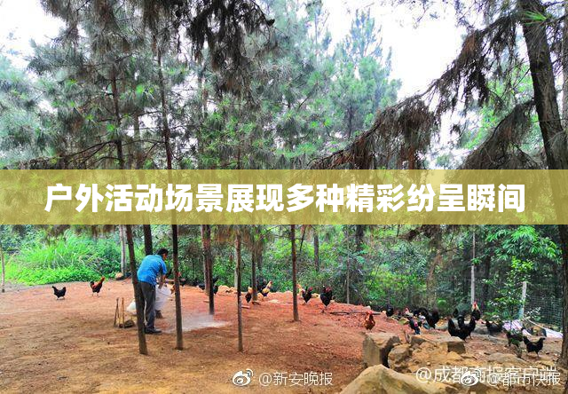 户外活动场景展现多种精彩纷呈瞬间