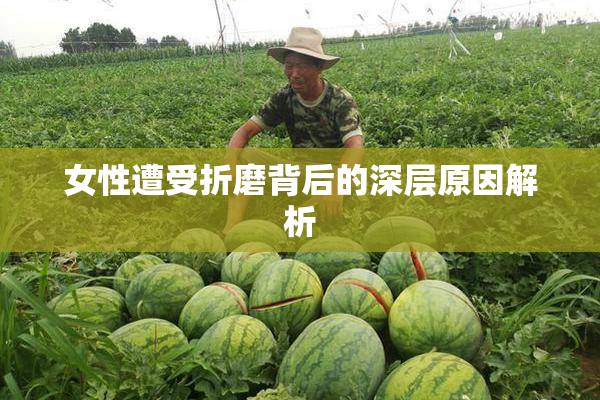 女性遭受折磨背后的深层原因解析