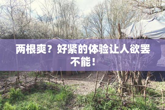 两根爽？好紧的体验让人欲罢不能！