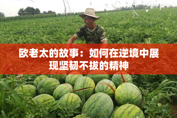 欧老太的故事：如何在逆境中展现坚韧不拔的精神