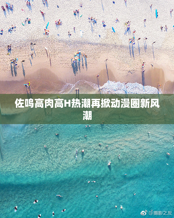 佐鸣高肉高H热潮再掀动漫圈新风潮