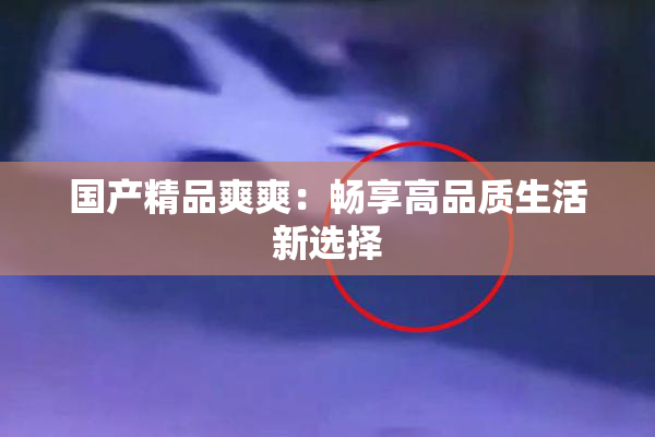 国产精品爽爽：畅享高品质生活新选择