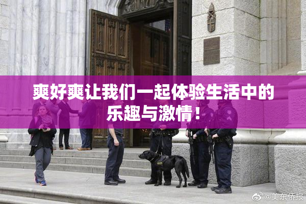 爽好爽让我们一起体验生活中的乐趣与激情！