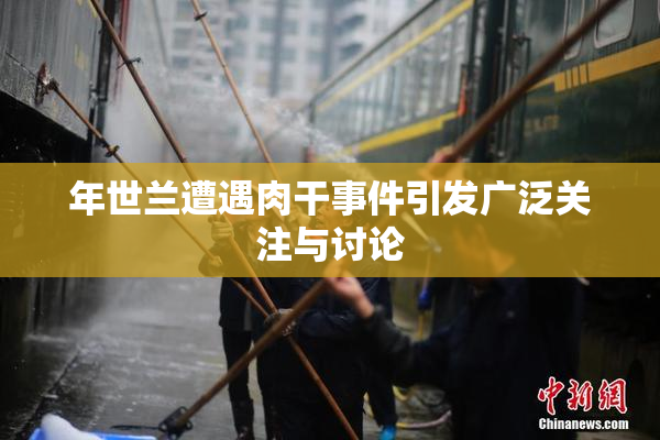 年世兰遭遇肉干事件引发广泛关注与讨论
