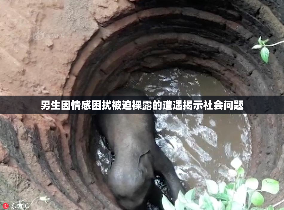 男生因情感困扰被迫裸露的遭遇揭示社会问题