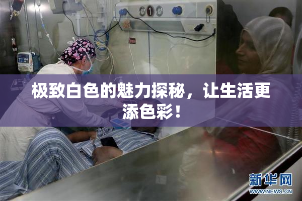 极致白色的魅力探秘，让生活更添色彩！