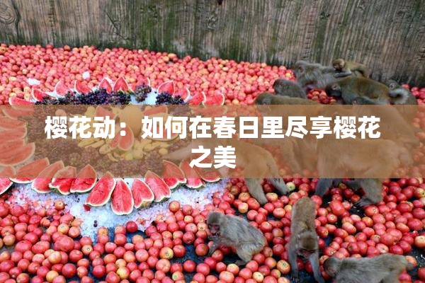 樱花动：如何在春日里尽享樱花之美