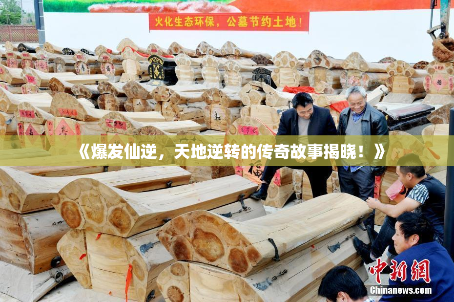 《爆发仙逆，天地逆转的传奇故事揭晓！》