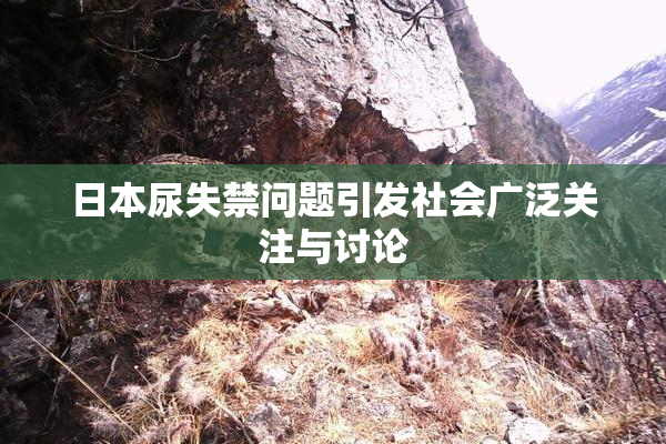 日本尿失禁问题引发社会广泛关注与讨论