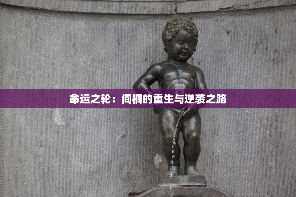 命运之轮：间桐的重生与逆袭之路