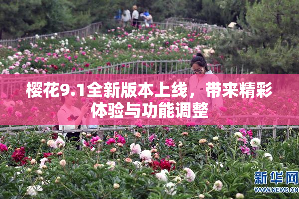 樱花9.1全新版本上线，带来精彩体验与功能调整